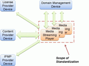 MSAF_model