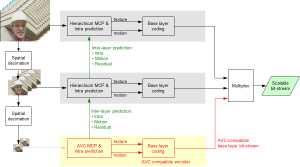 SVC_block_diagram