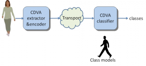 cdva-classification