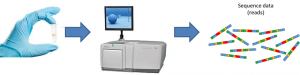 genome_sequencing_chain